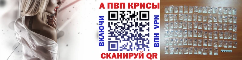 APVP СК Пошехонье
