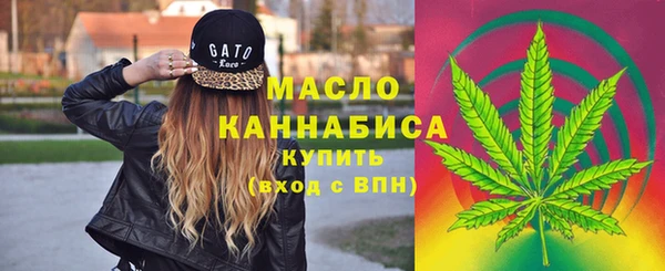 тгк Алзамай