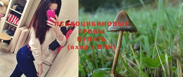 тгк Алексеевка